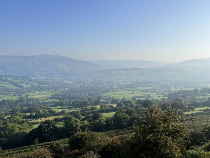 Thumbnail of photo from this article